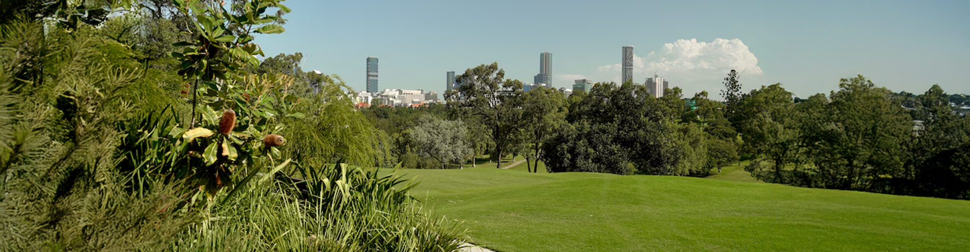 Victoria Park Precinct